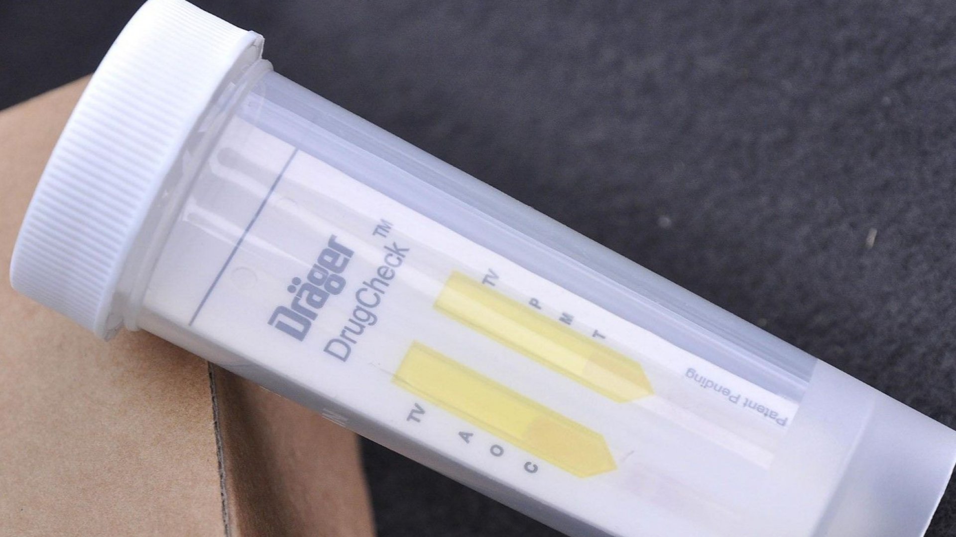 Фондацията Евелин Дуков носеща името на загинал на пешеходна пътека