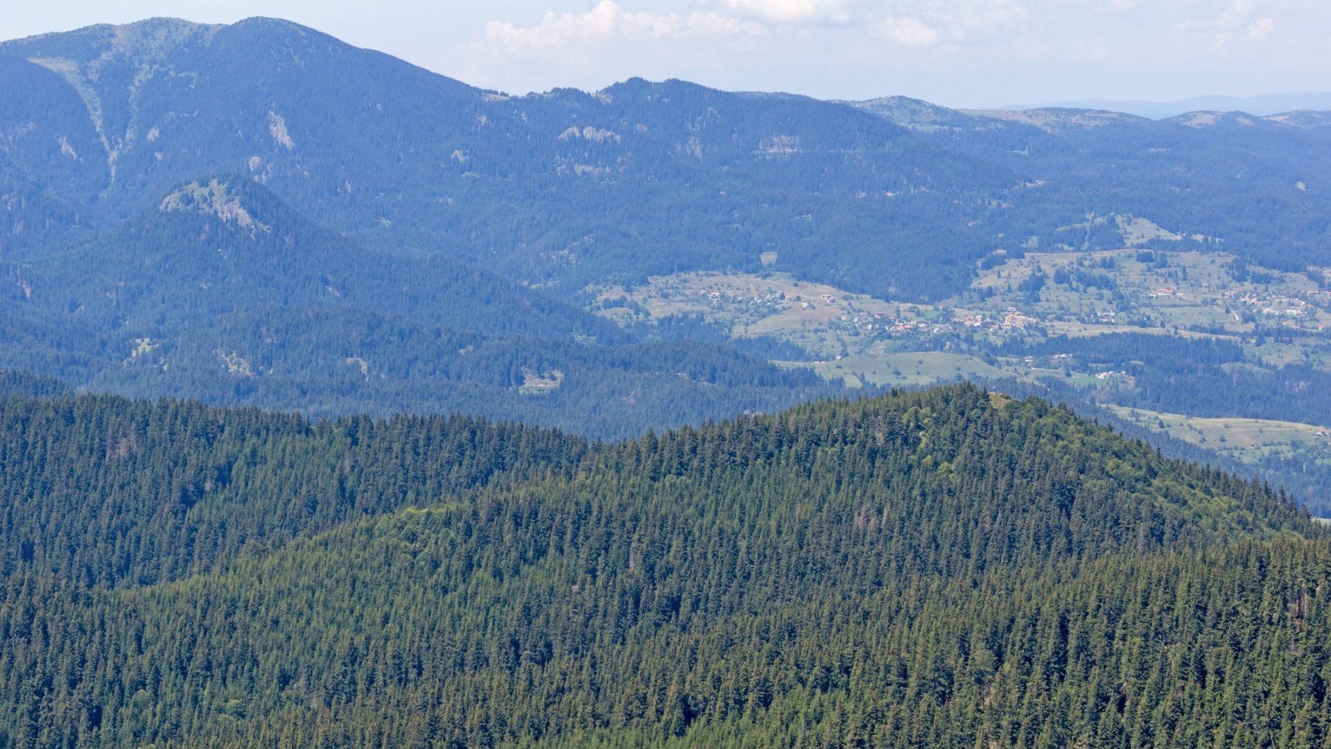 Изгубено в Родопите израелско семейство с четири деца вдигна на