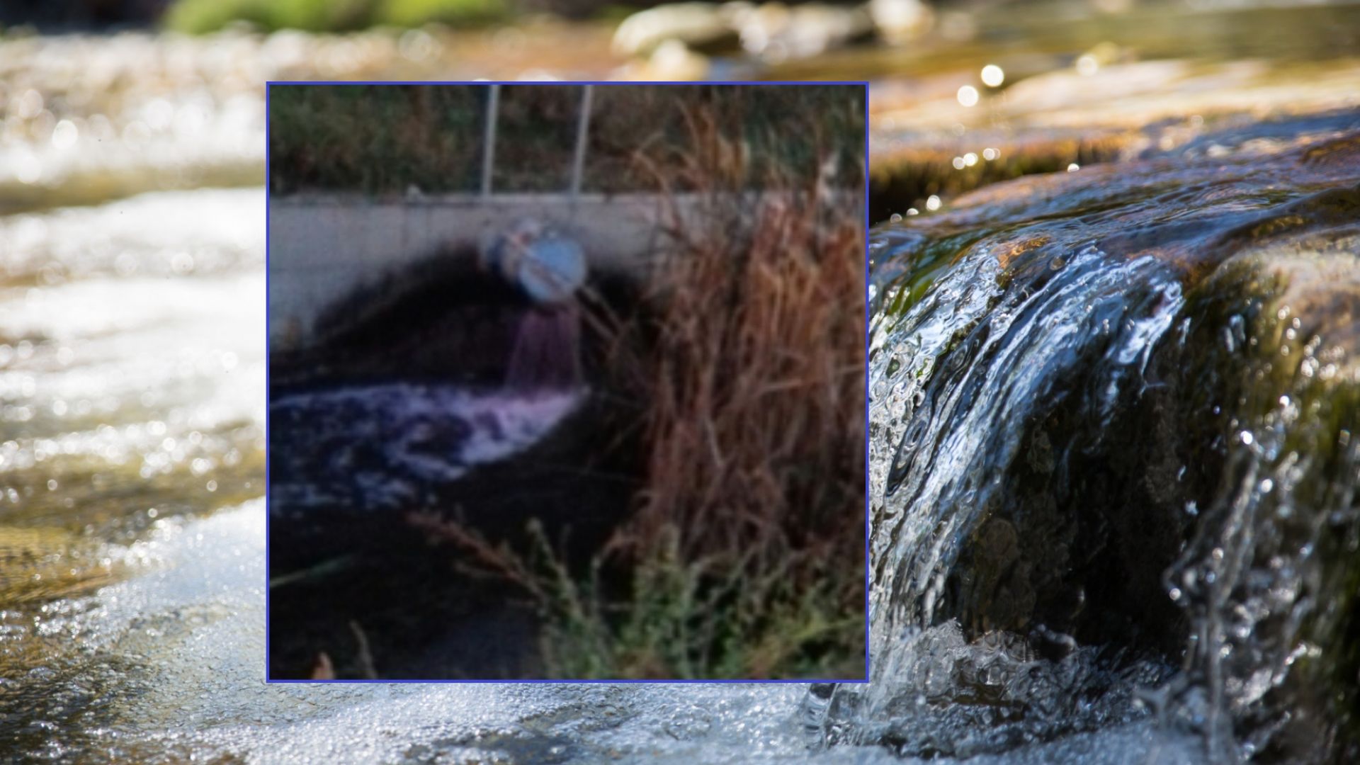 След сигнал на граждани екоексперти на РИОСВ Пловдив и