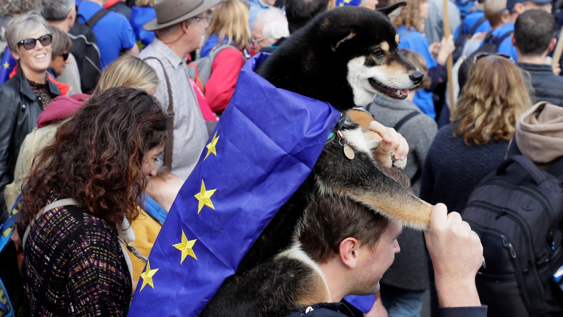 Около 500 000 граждани на държави от Европейския съюз във