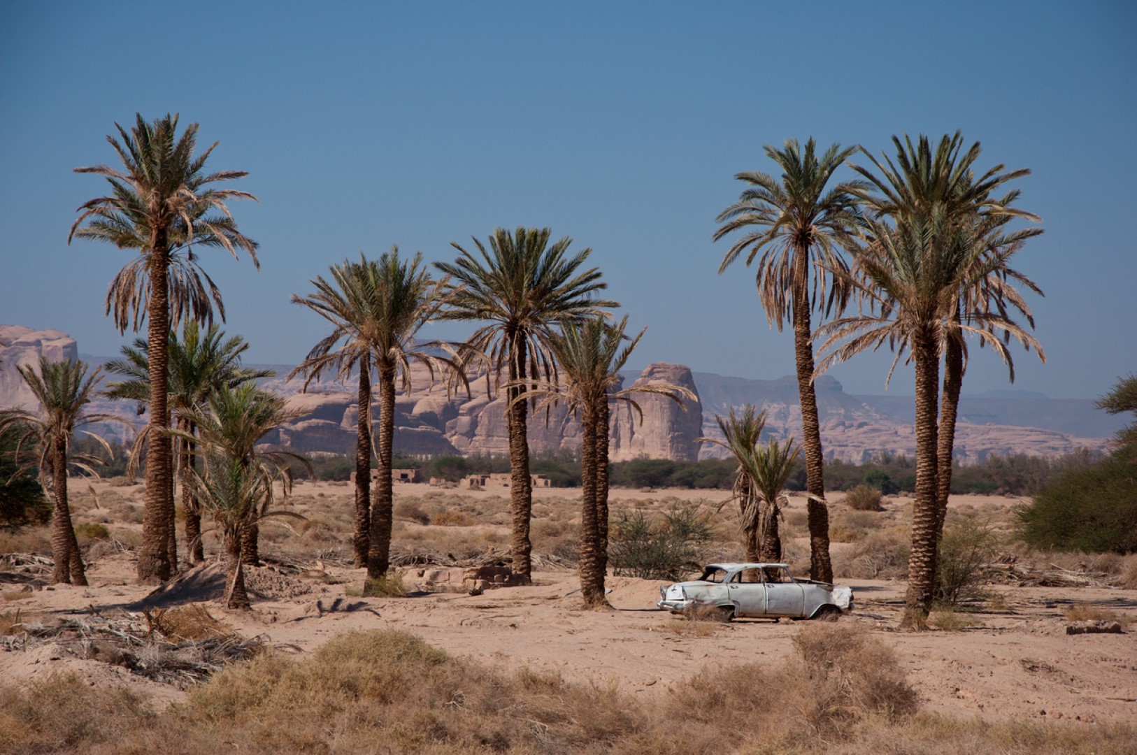 Жив музей с големина на държава в пустинята