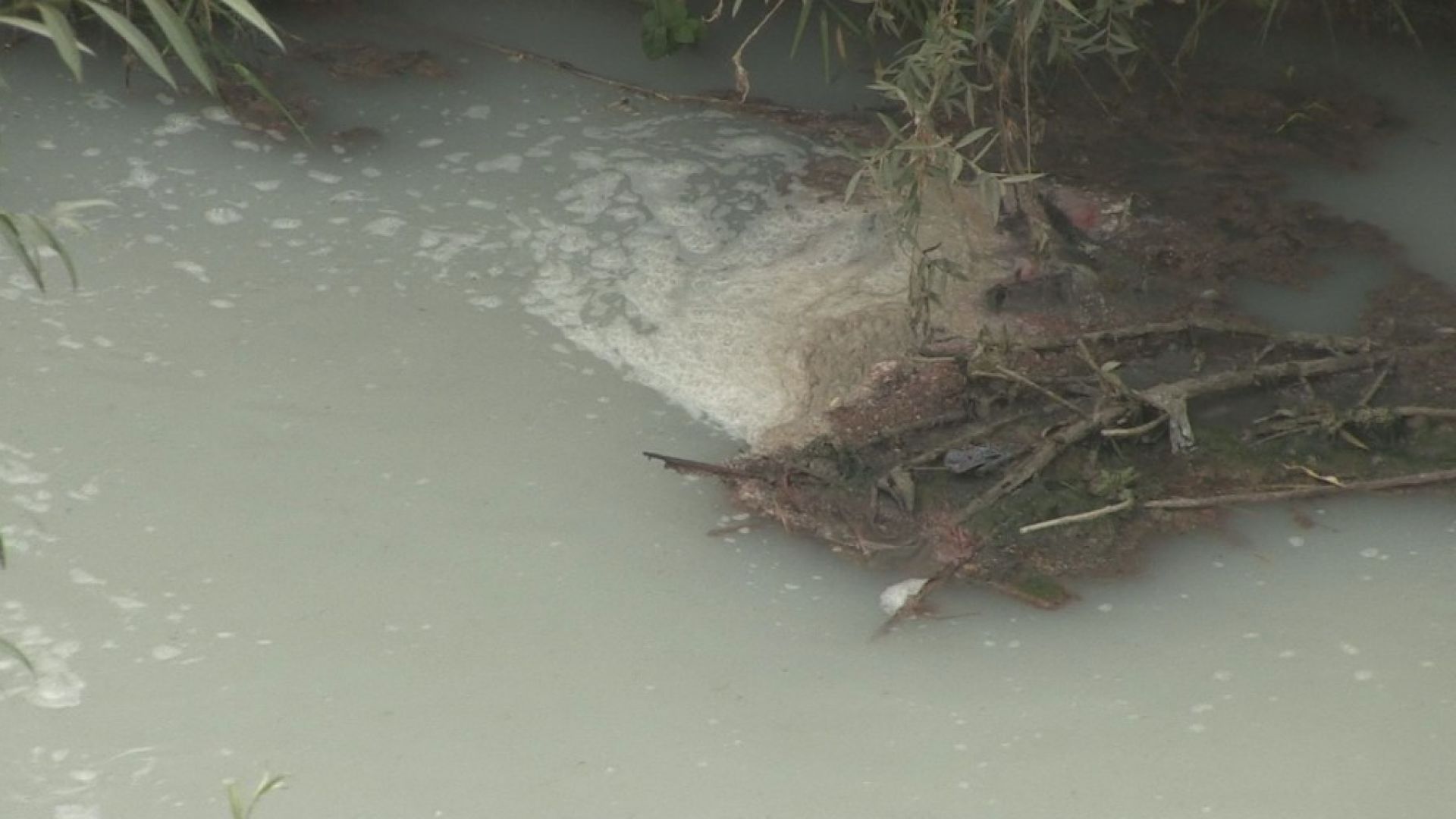 Производител на кори за яйца ще бъде глобен за замърсяване