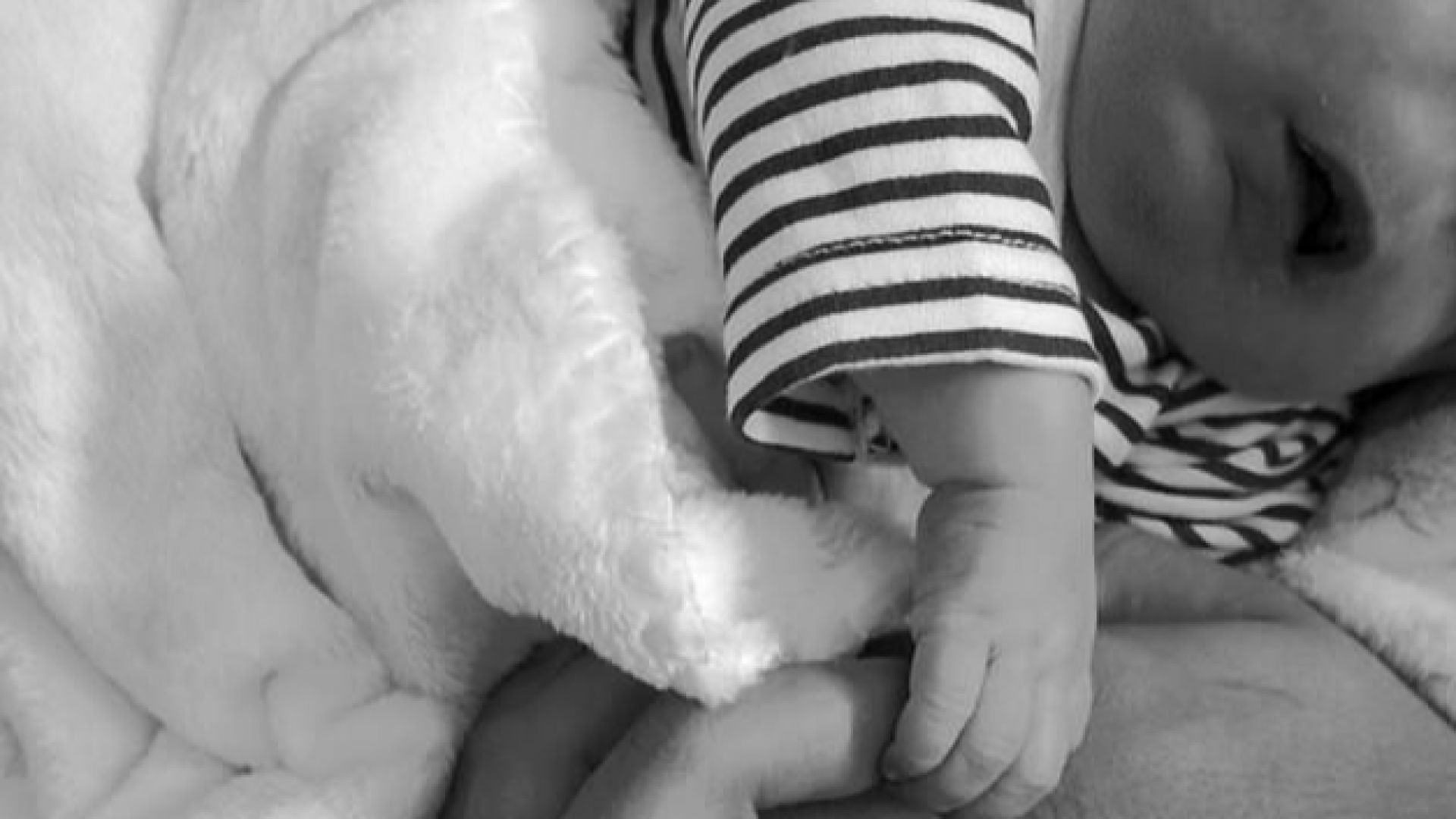 Под натиска на общественото мнение Португалският лекарски съюз временно отстрани