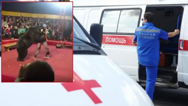 Мечка нападна дресьор пред очите на зрителите в руски цирк (видео 18+)