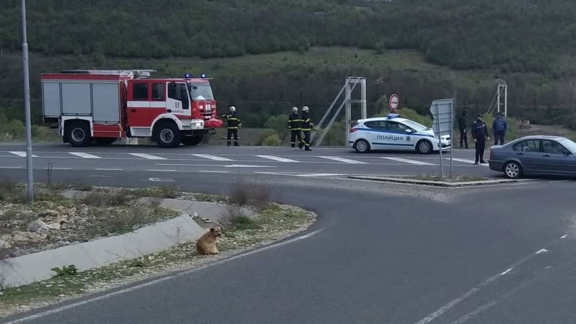 19 годишно момиче загина при тежка катастрофа на пътя между Кърджали