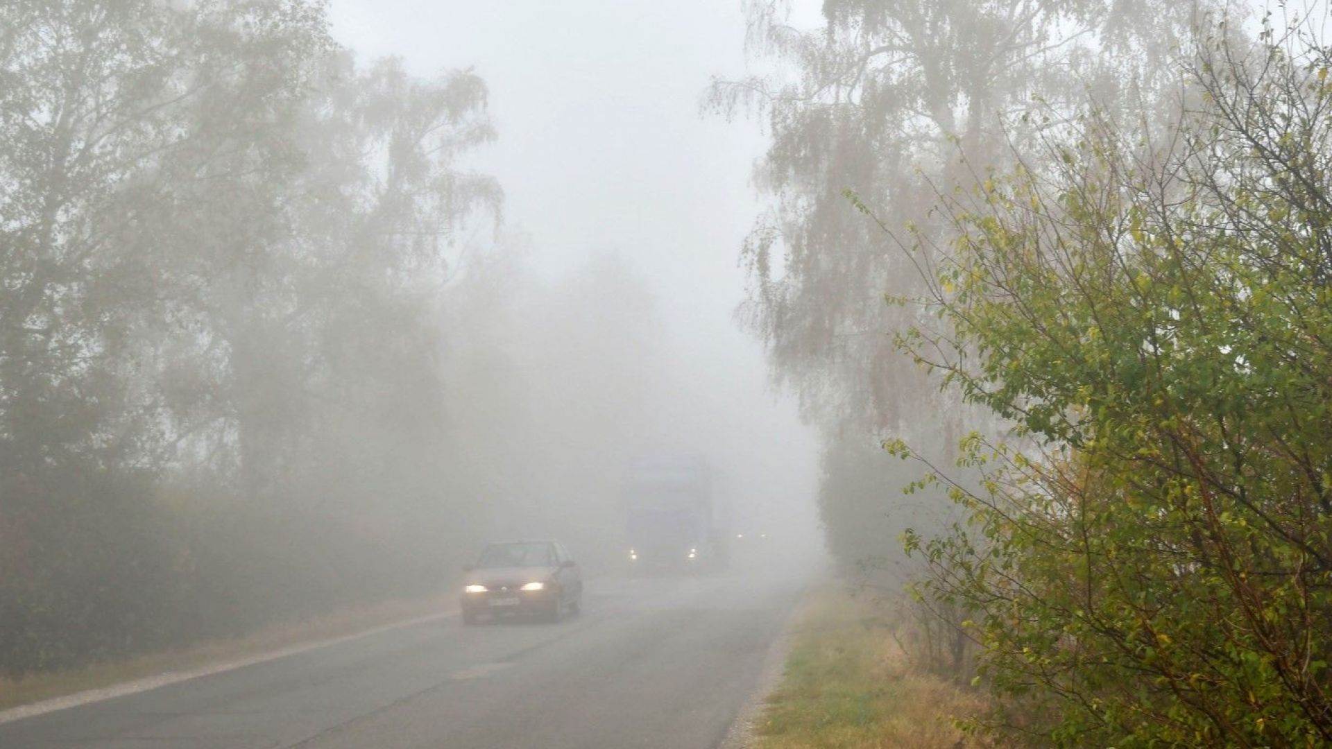 Агенция Пътна инфраструктура предупреждава за гъста мъгла и намалена видимост