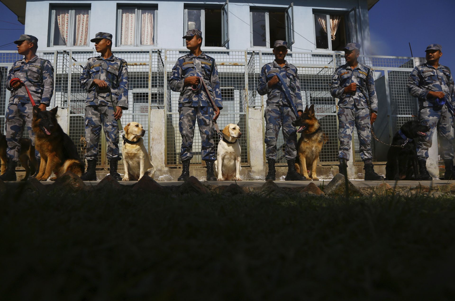 Местната полиция отдава специална почит на следовите кучета