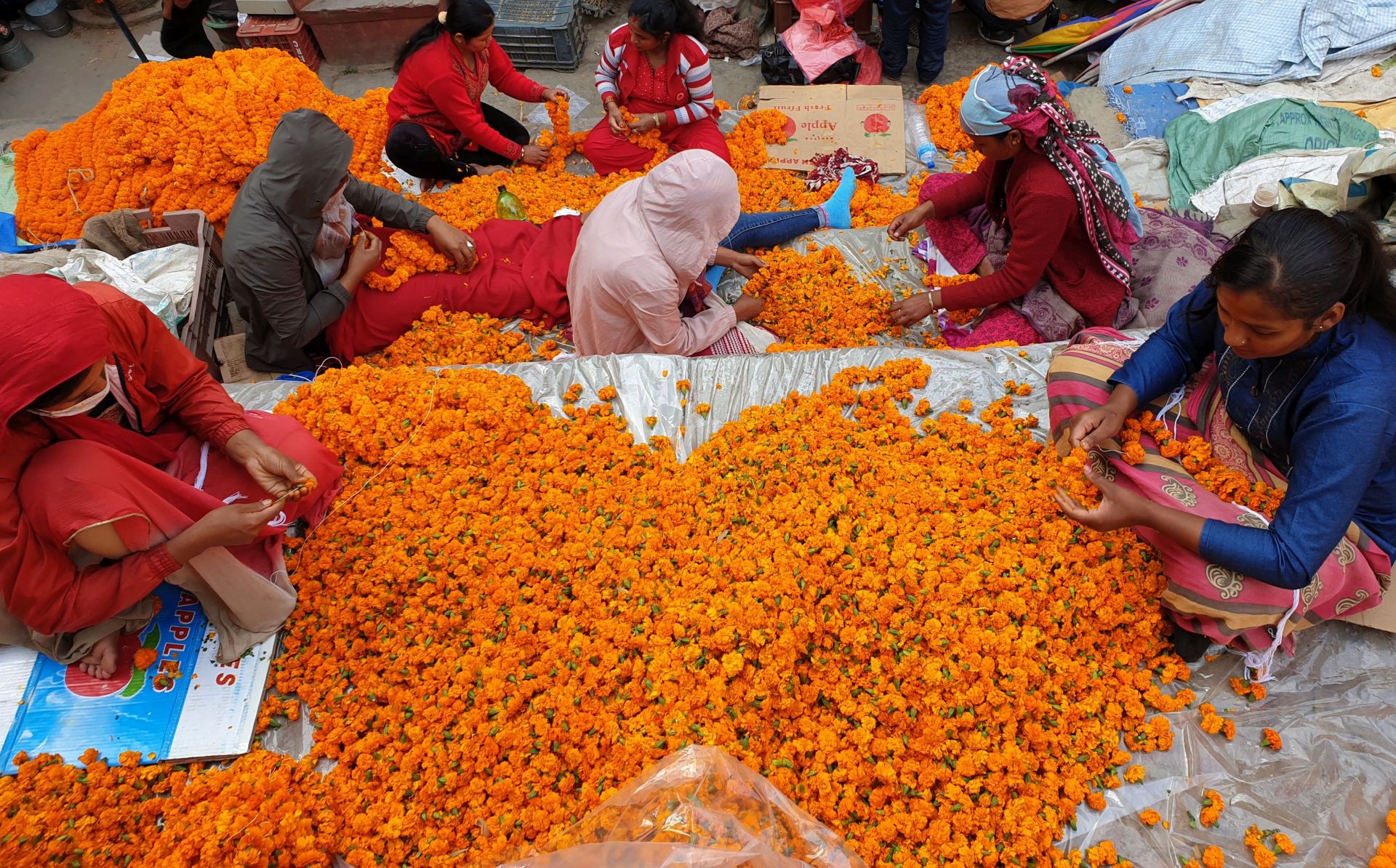 Затова и непалските жени събират невени за братята си
