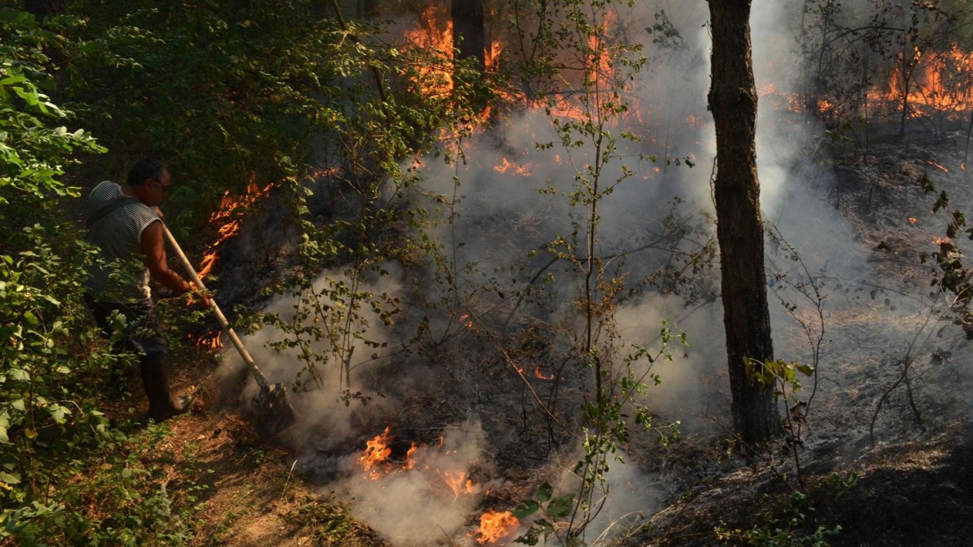 Пожарникари от Сърбия се включиха в гасенето на големия пожар