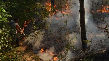 Голям пожар в Национален парк Рила