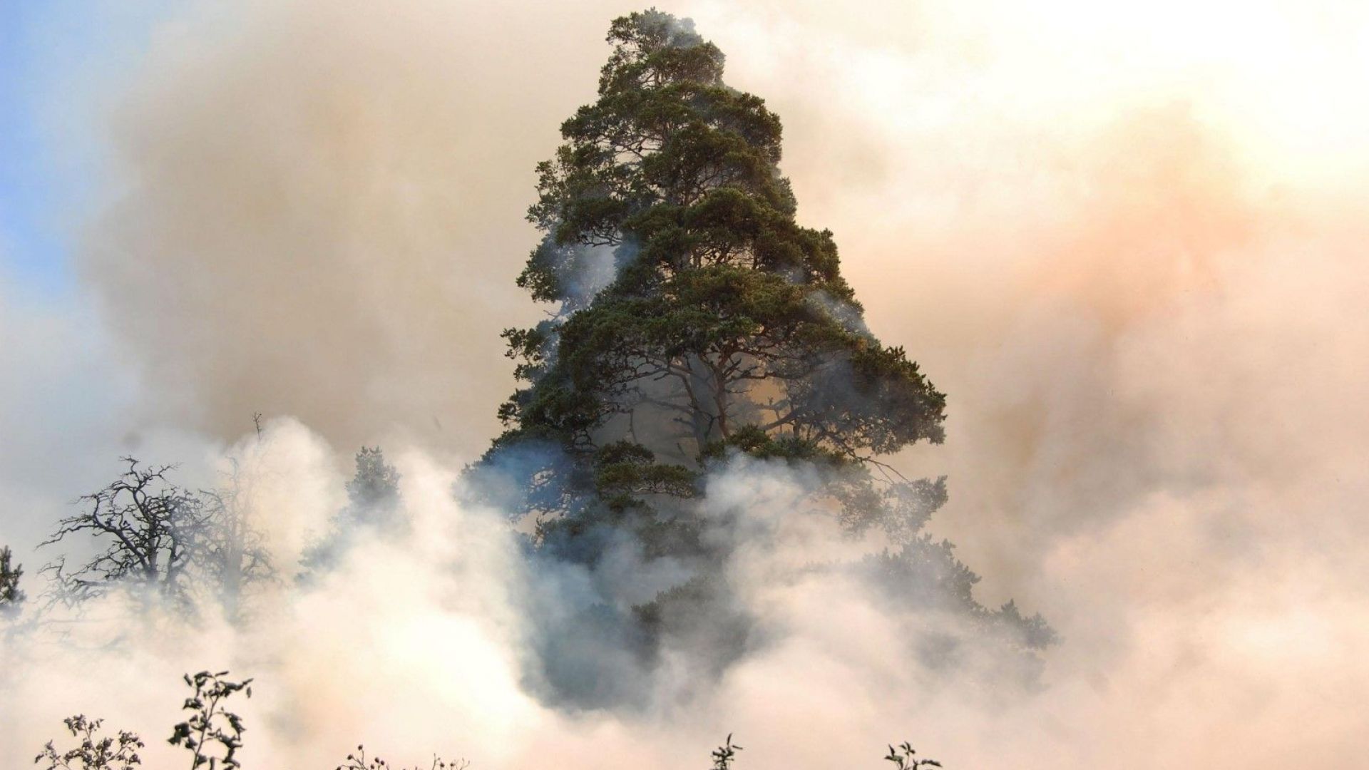 Военен хеликоптер се е включил в гасенето на пожара който