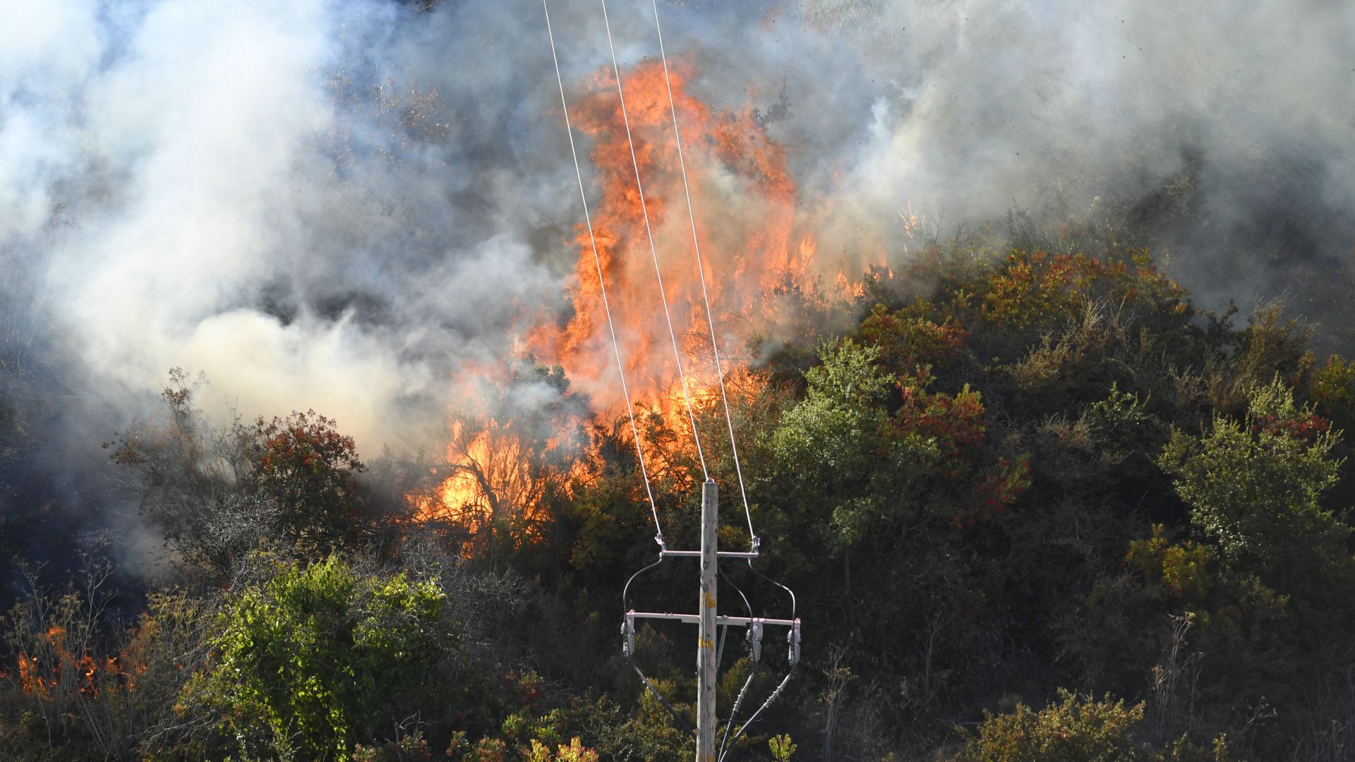 Виж още Масова евакуация в Калифорния 180 000 напускат домовете