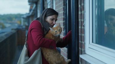 Софийската премиера на "Котка в стената" е сред българските акценти на Киномания