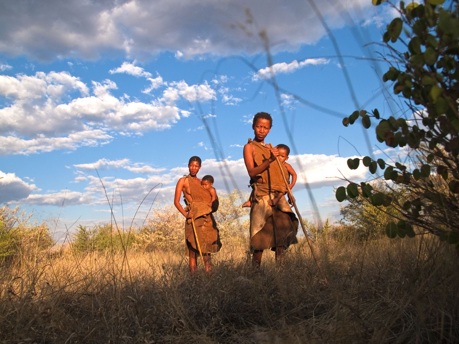 Сега в пустинята Калахари в Ботсвана живеят бушмени