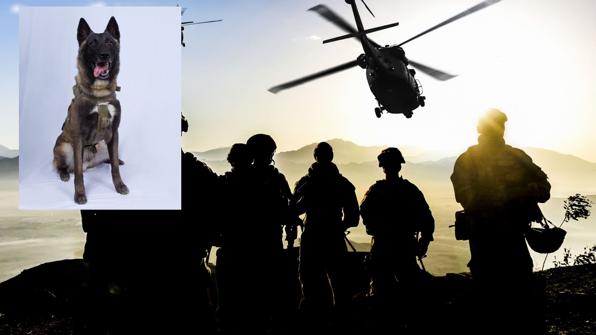 Президентът на САЩ Доналд Тръмп публикува снимка на кучето придружавало