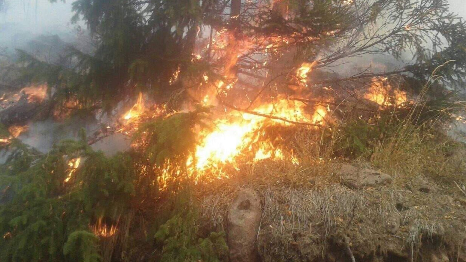 Директорът на Главна дирекция Пожарна безопасност и защита на населението