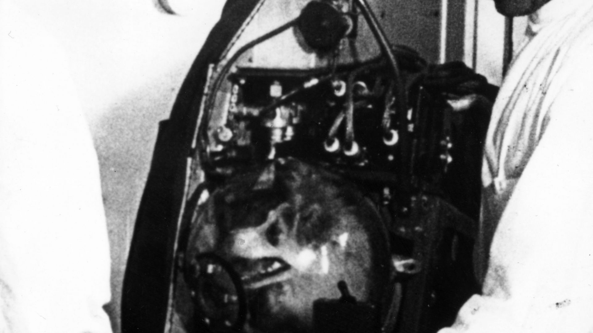 Навършват се 65 години от полета на кучето Лайка в космоса