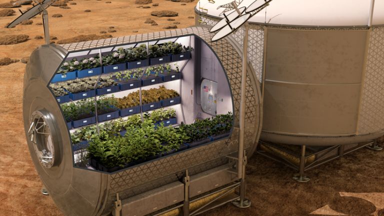 Чехи подготвят растения за Марс