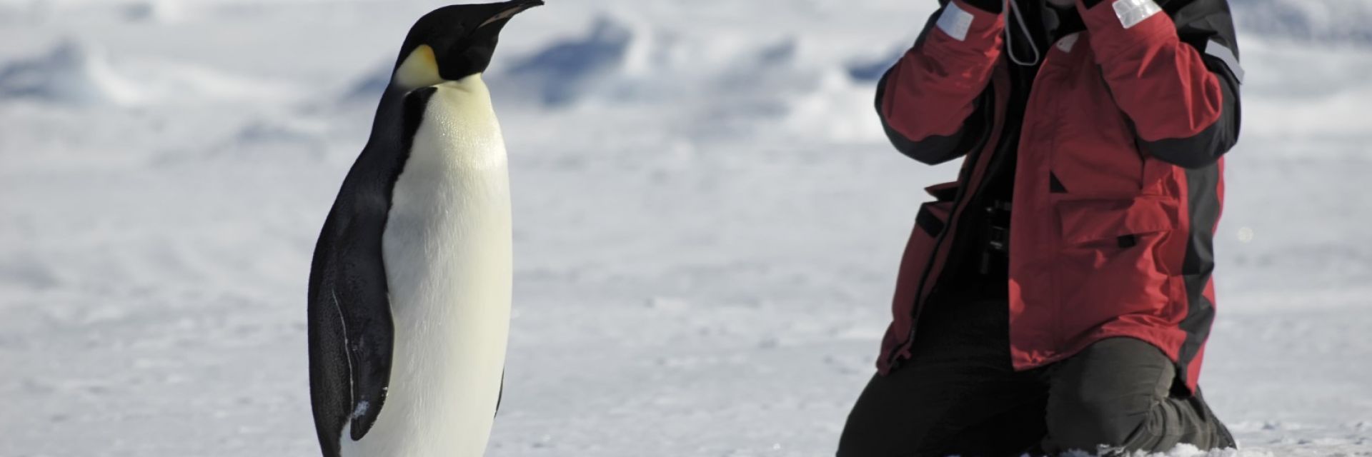 Огромен ръст на китайските туристи в Антарктика
