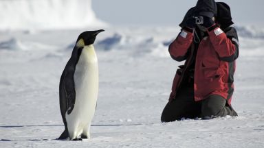 Огромен ръст на китайските туристи в Антарктика