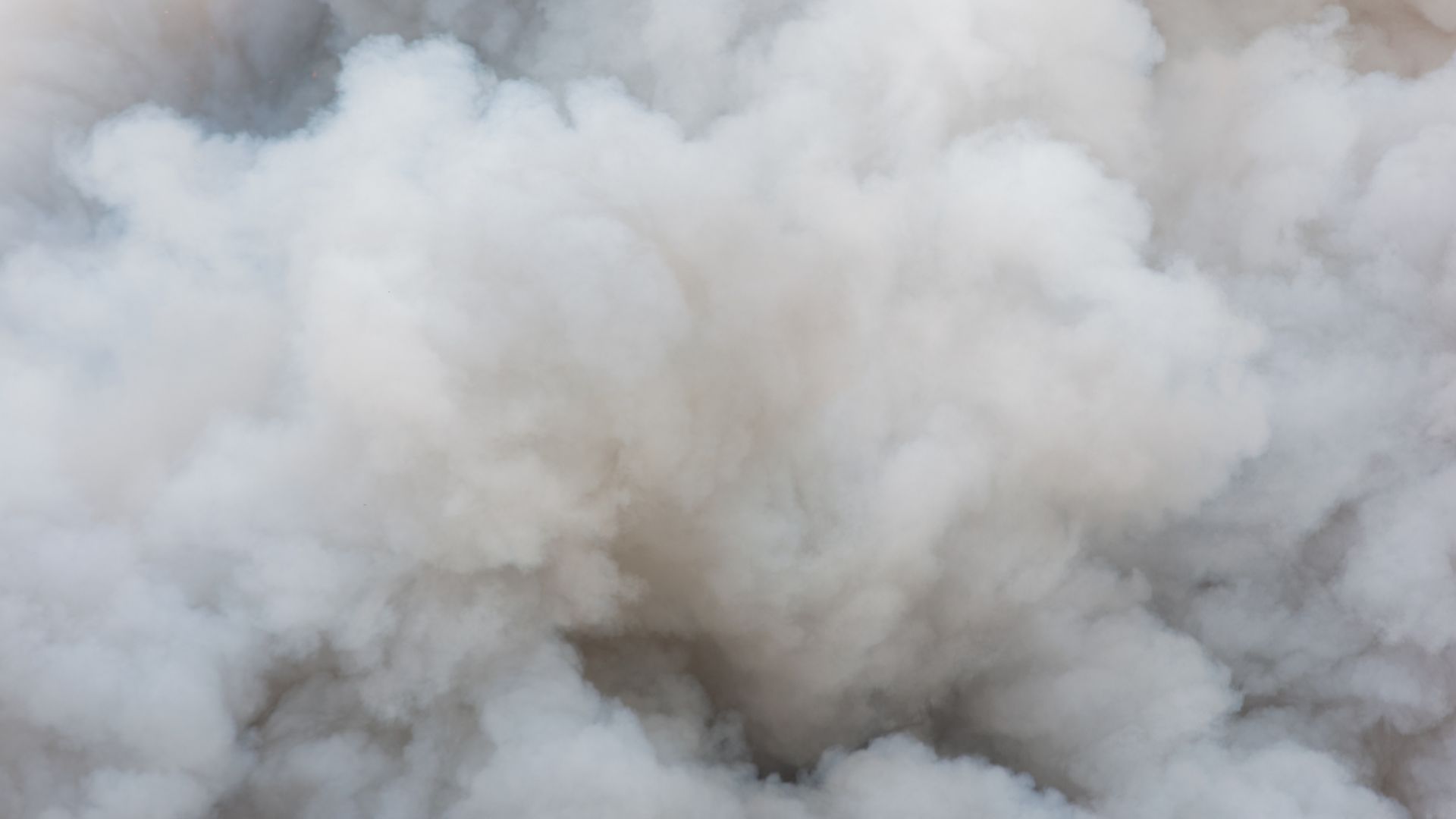 Територията на пернишкия кв Тева беше обгазена снощи съобщиха от