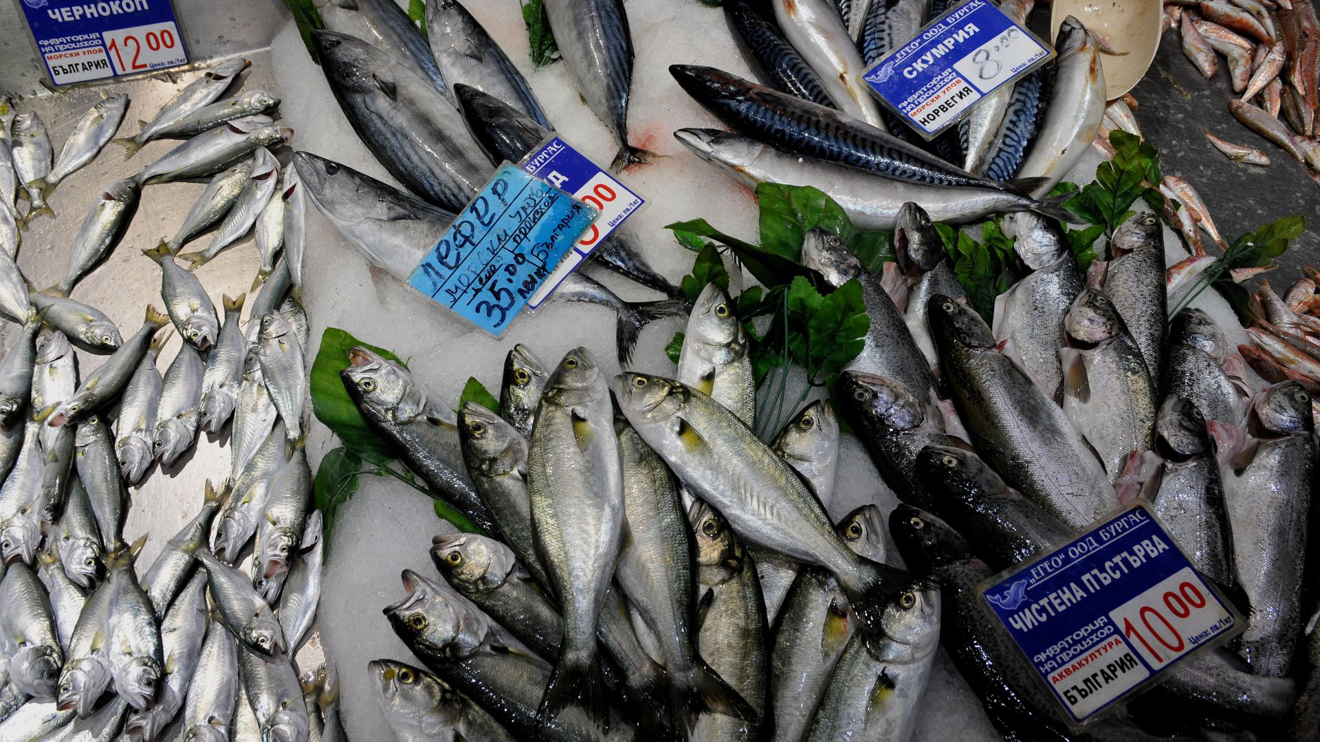 Няма регистрирани нарушения в обектите предлагащи риба на пазара в
