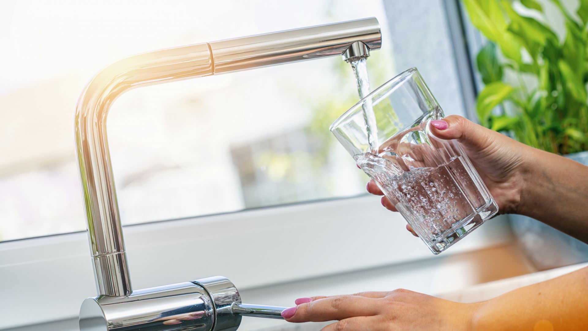 Откъде идва водата на София Как се пречиства тя С