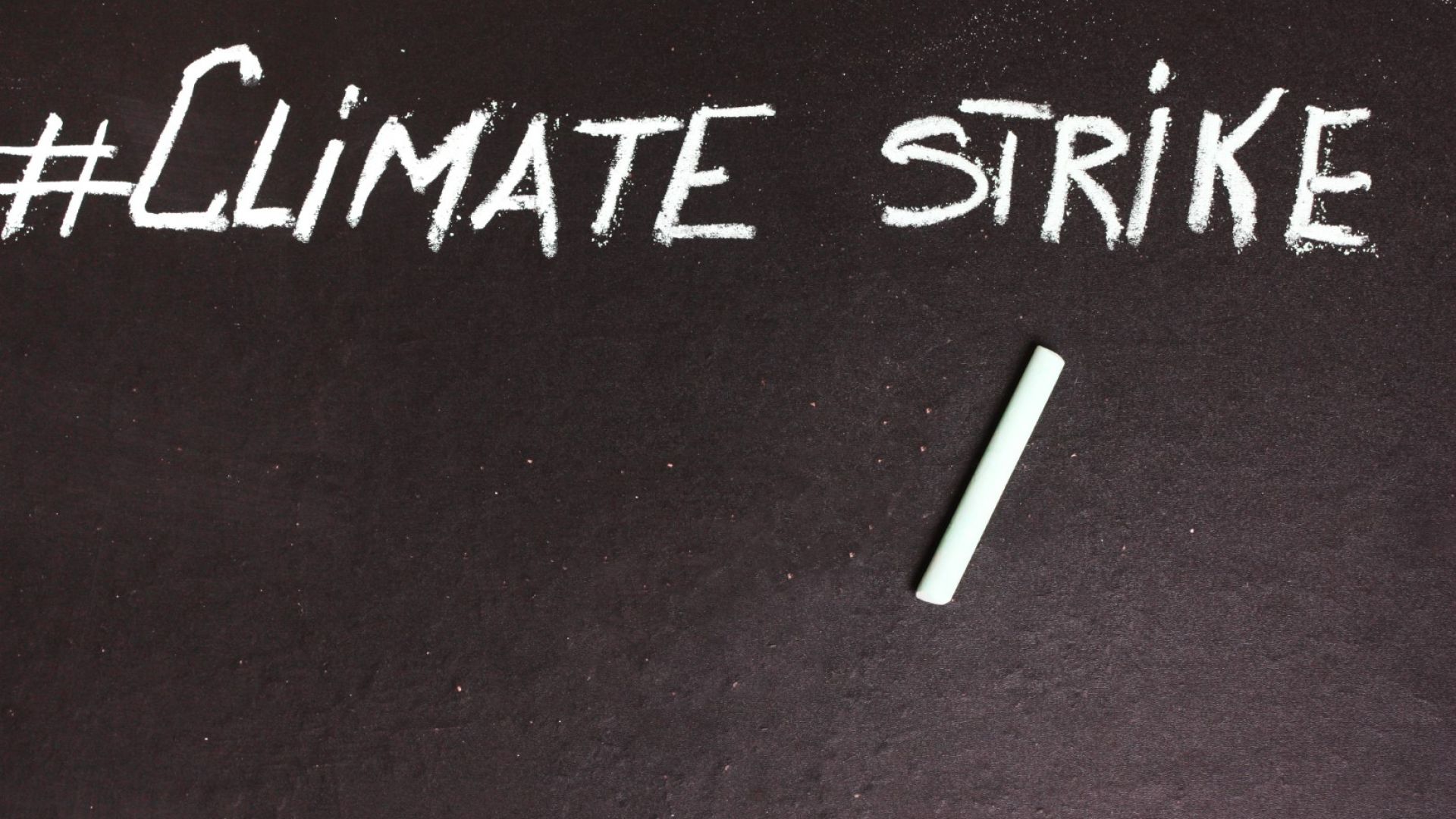 Понятието "климатична стачка" беше обявено за словосъчетание на 2019 г.