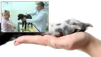 Районният съд в Казанлък осъди на 8 месеца лишаване от