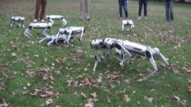 Американски роботи си играят с есенните листа