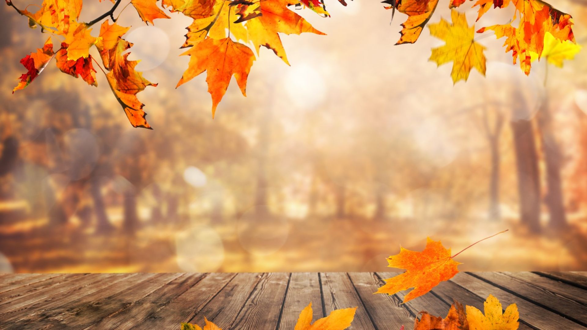 Есента продължава с променливо време, слаби превалявания и мъгли