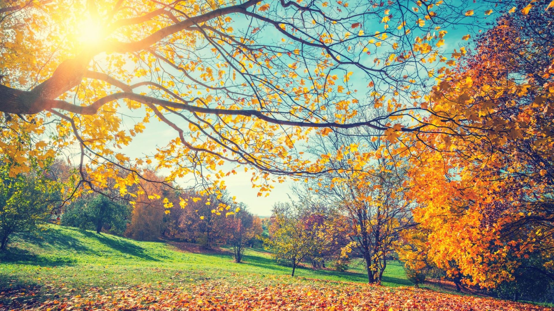 Есента е близо: септември ще започне с по-хладно и ветровито време 