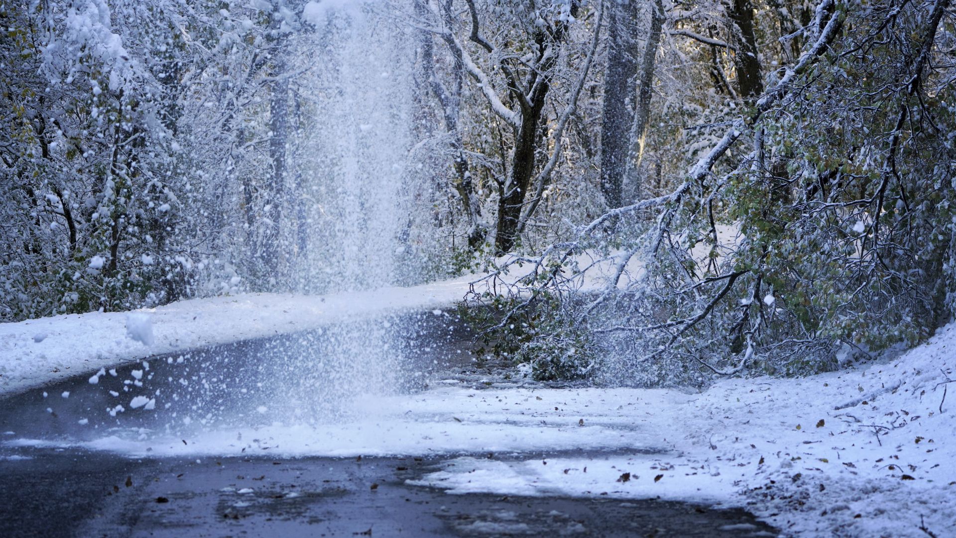 Обилни снеговалежи засипаха Южна Франция Хиляди домове останаха без електричество