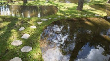 Нереална водна градина в Япония - ода за природата и покана за медитация