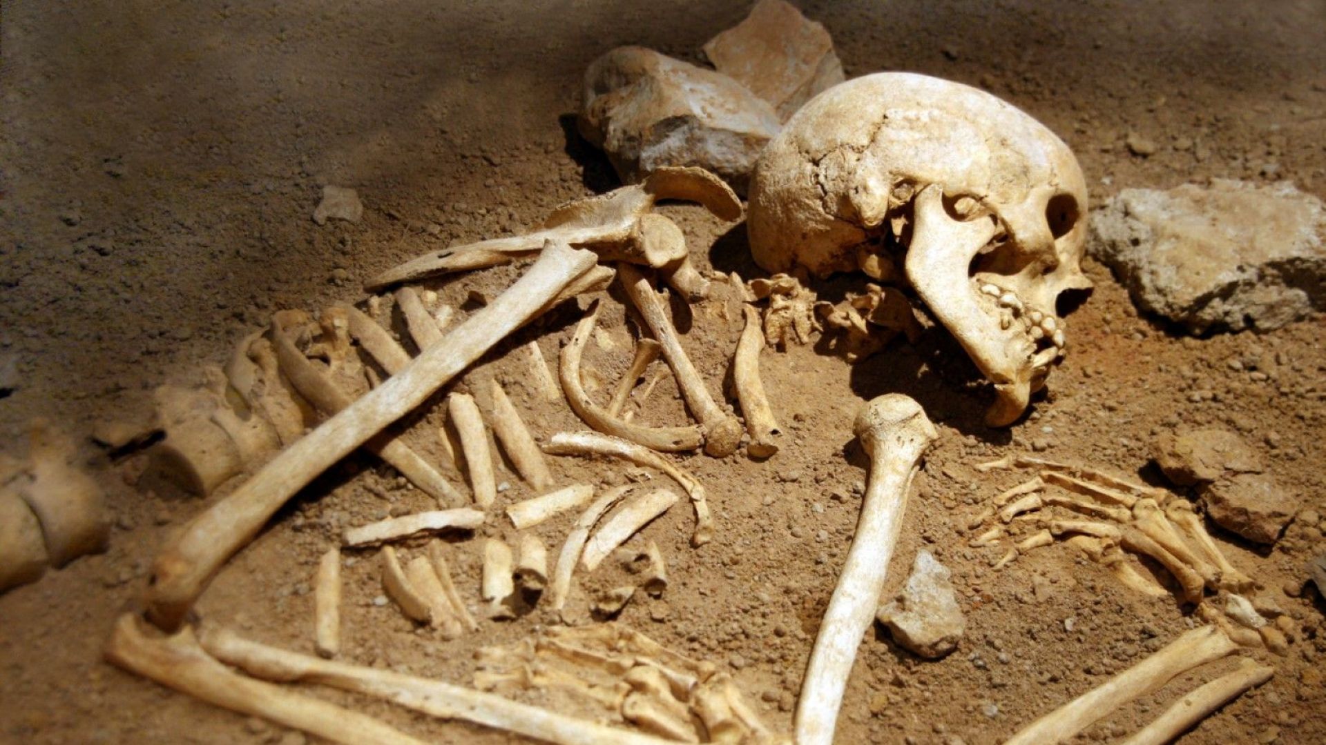 Руснак намери масов гроб от времето на Сталин докато копае