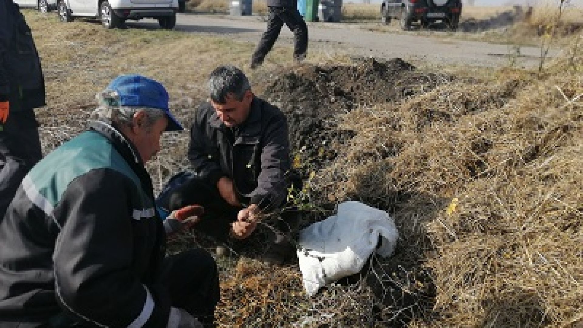 За двата уикенда от есенната залесителна кампания Новата гора на