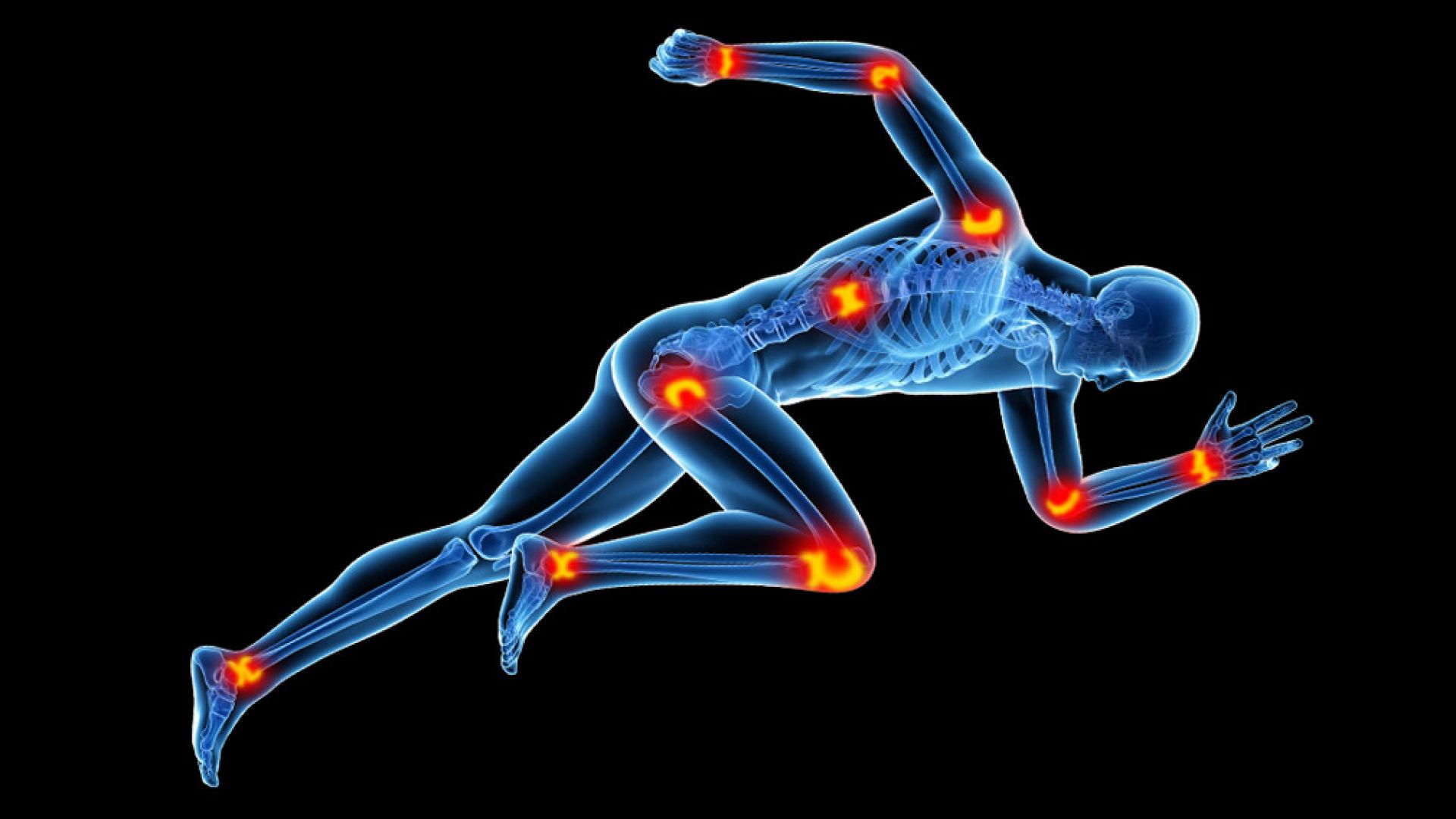 Знаете ли че човешкото тяло е изградено от 206 кости
