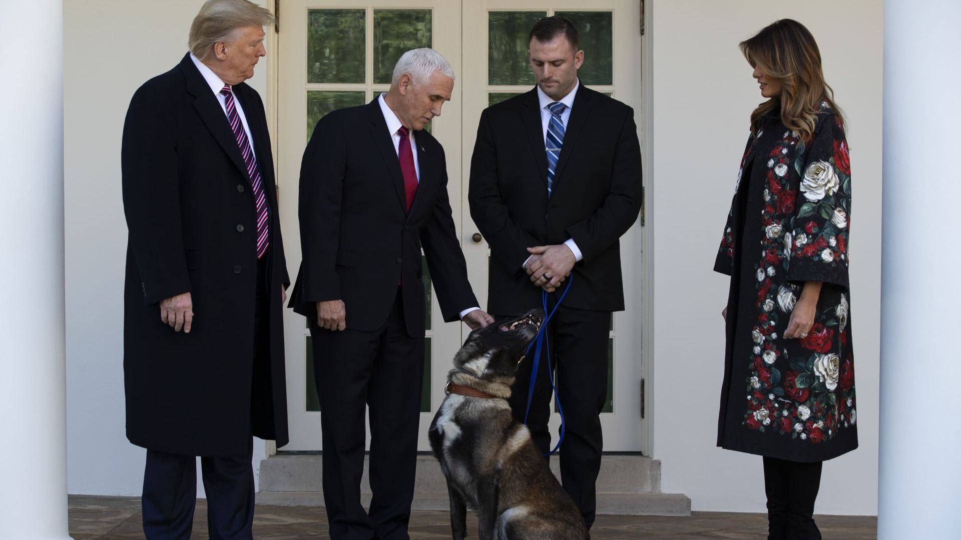 Тръмп почете кучето Конан, ранено при операцията срещу лидера на "Ислямска държава"