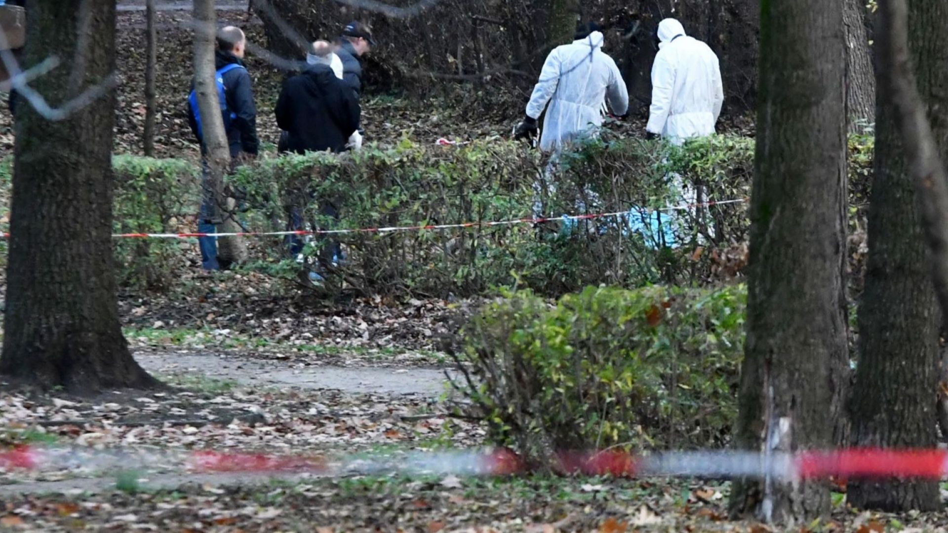 33-годишен психично болен е извършителят на жестокото убийство в Борисовата