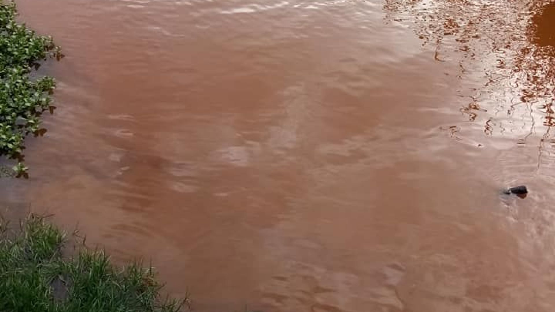 РИОСВ Перник установи източника на замърсяване на река Струма