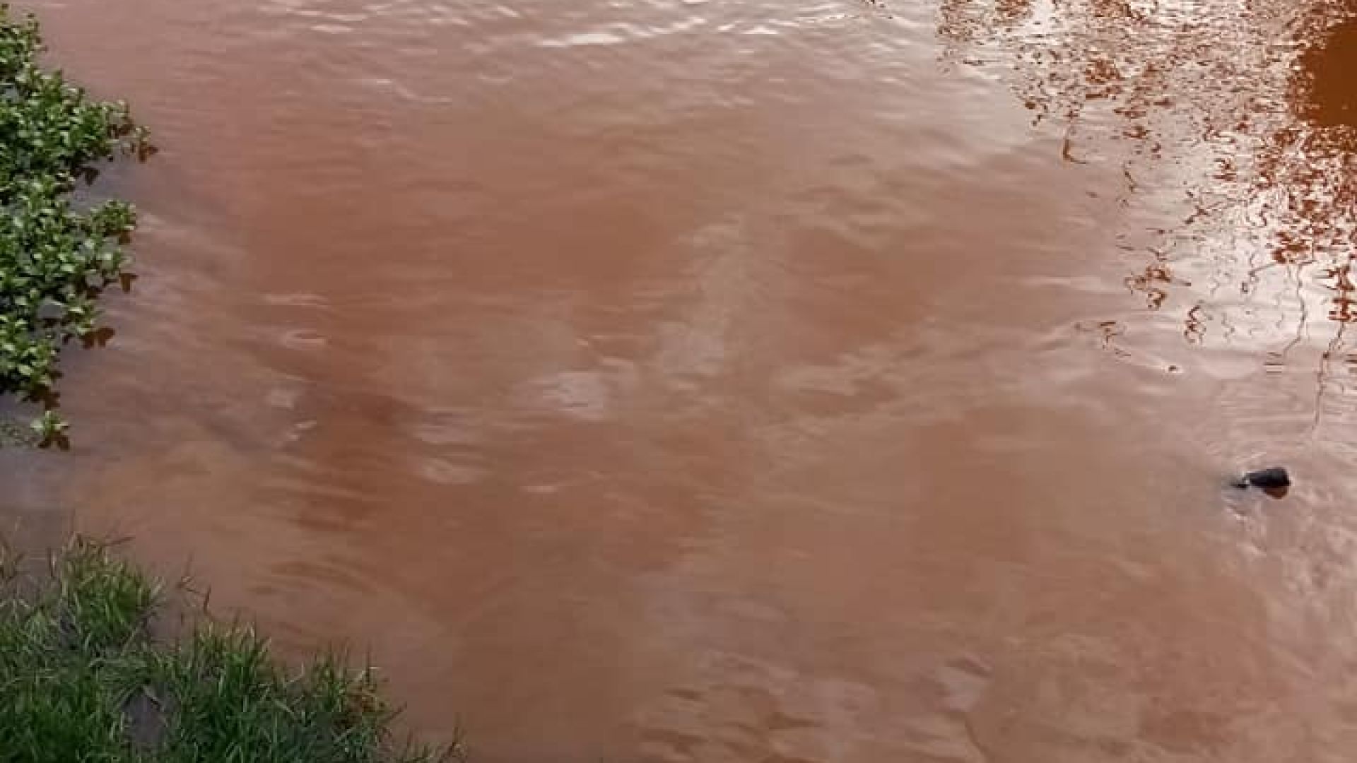 Вече е локализиран източникът на днешното замърсяване на река Струма