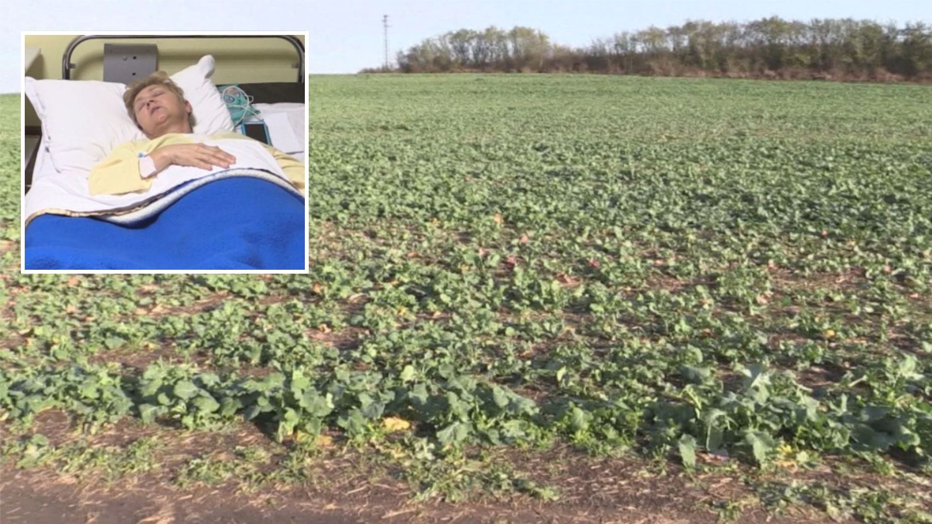 62 годишна жена е в болница с три счупени прешлена след