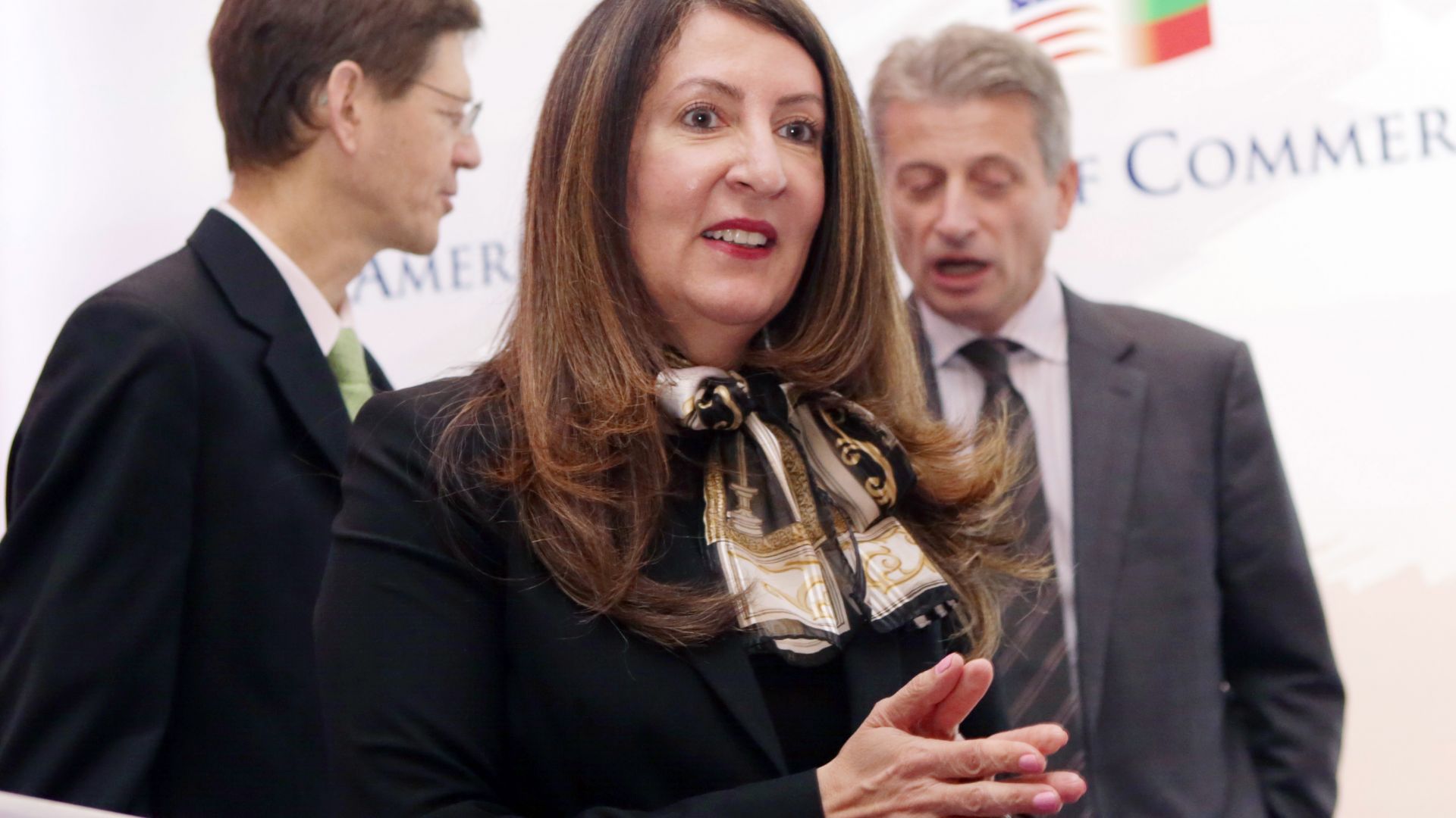 Сигурност икономика енергетика и върховенство на закона това са