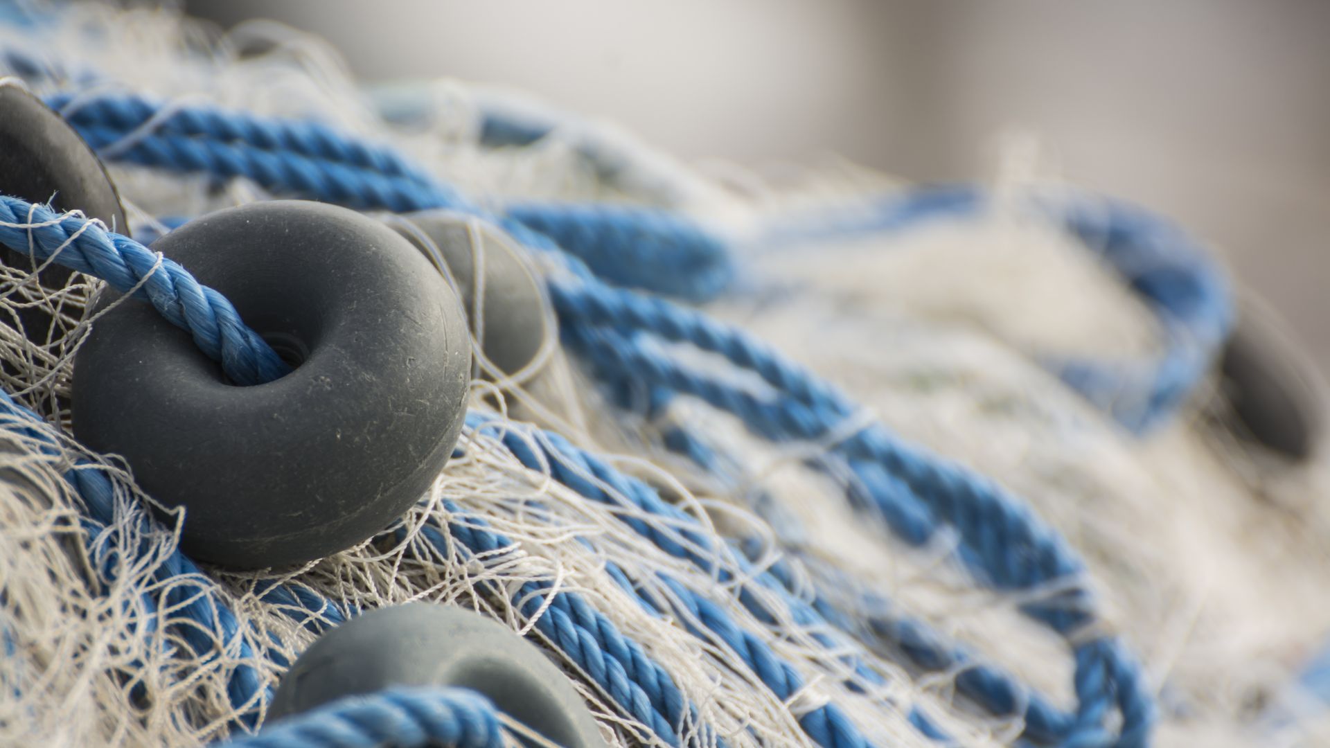 Инспектори от ИАРА прибраха 16 броя бракониерски мрежи с обща