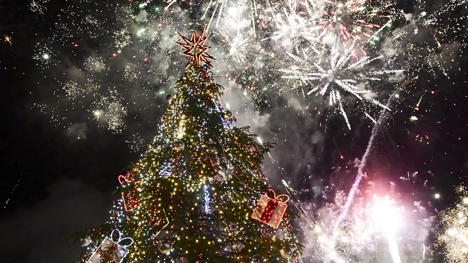 Кметът на столицата Йорданка Фандъкова запали светлините на живата коледна