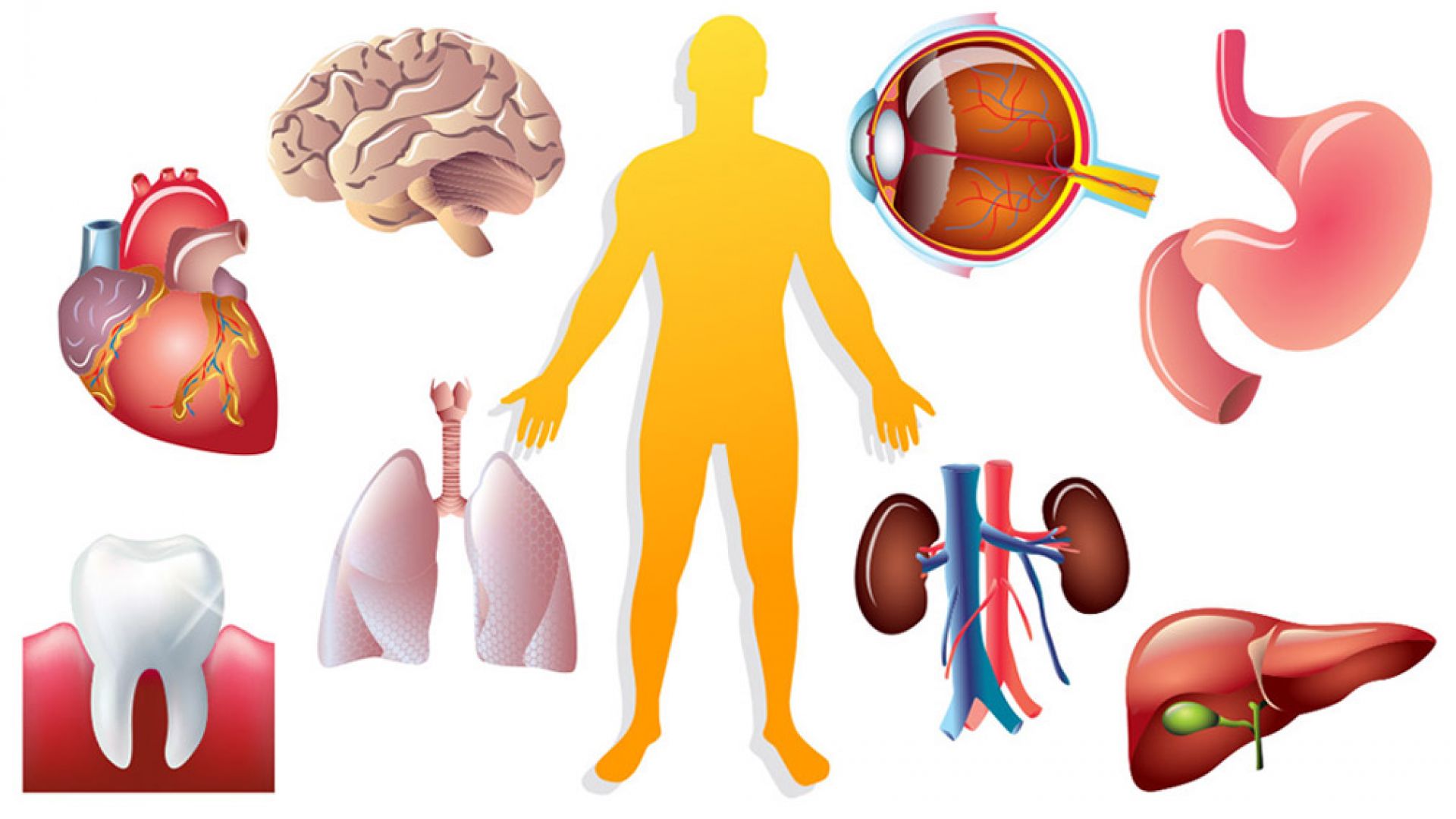 За първи път лекари фармацевти и пациенти застават единодушно зад
