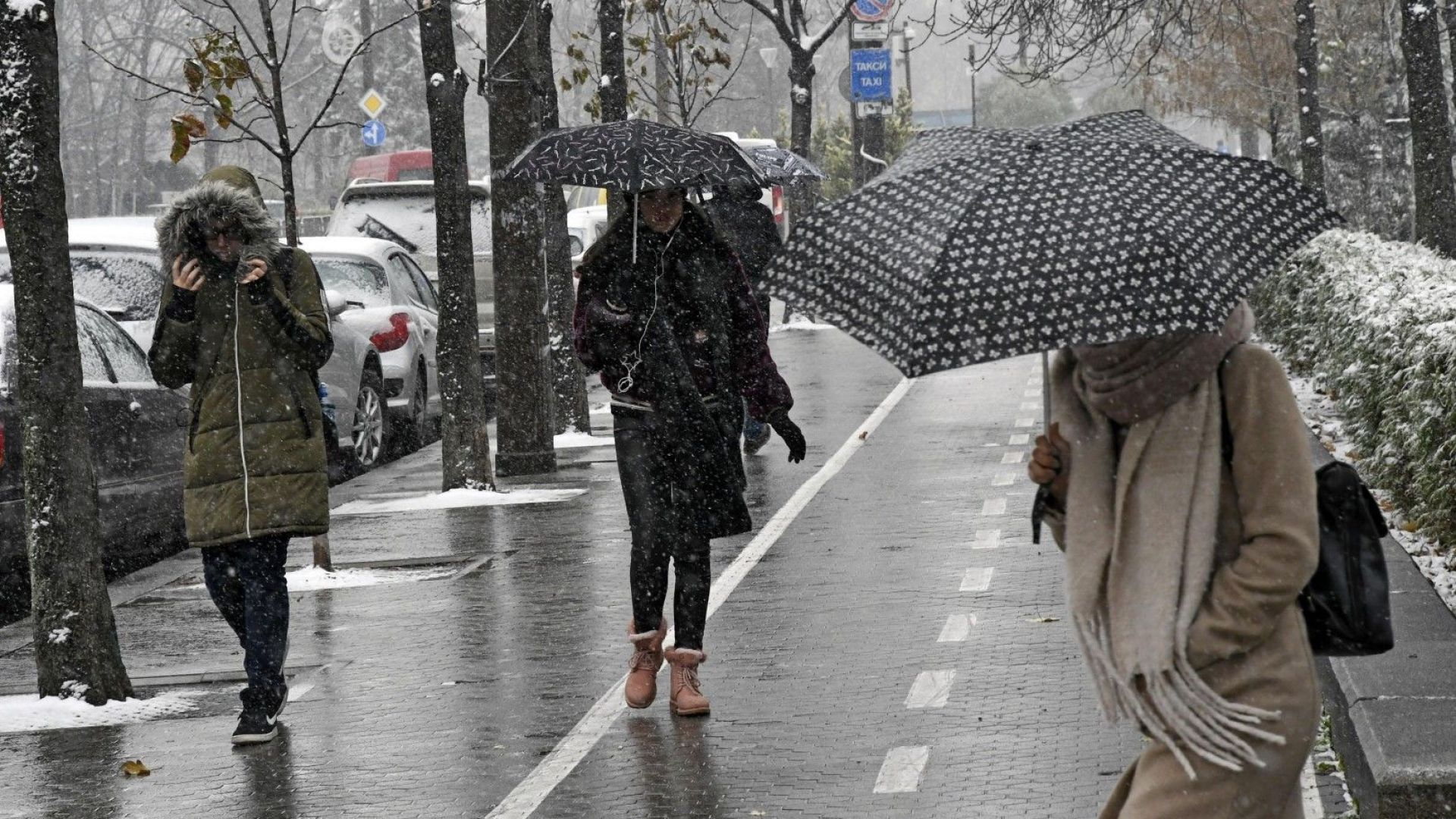 По бул Патриарх Евтимий между бул Витоша и ул