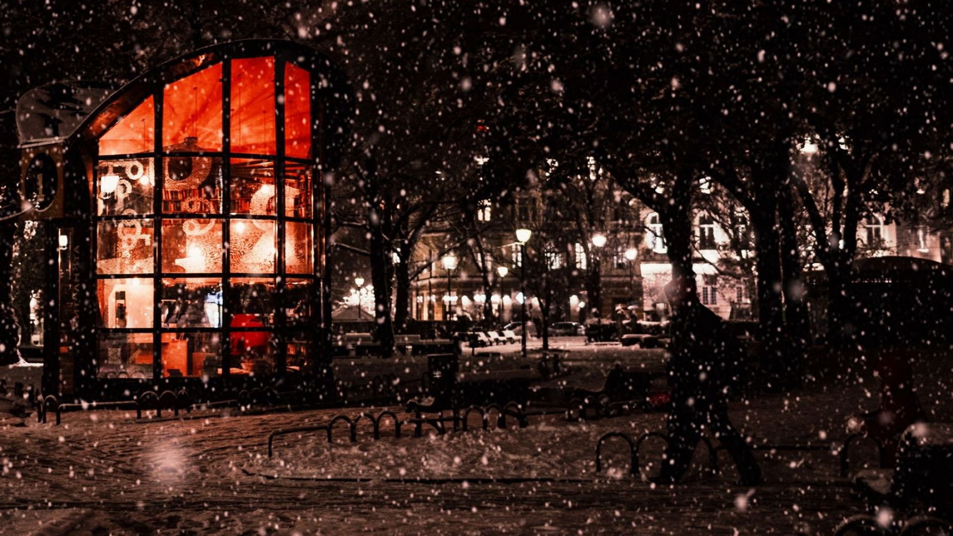 Първият сняг в София отново се превърна в новина И