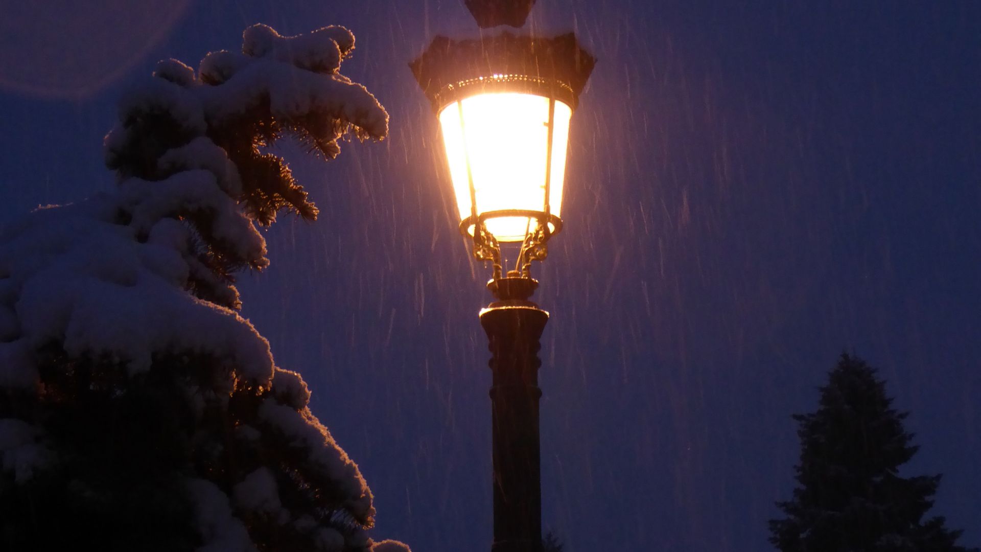 Първият сняг заваля във високите части на София (видео)