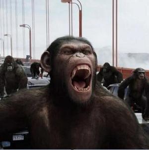 „Дисни“ с продължение на „Планетата на маймуните“